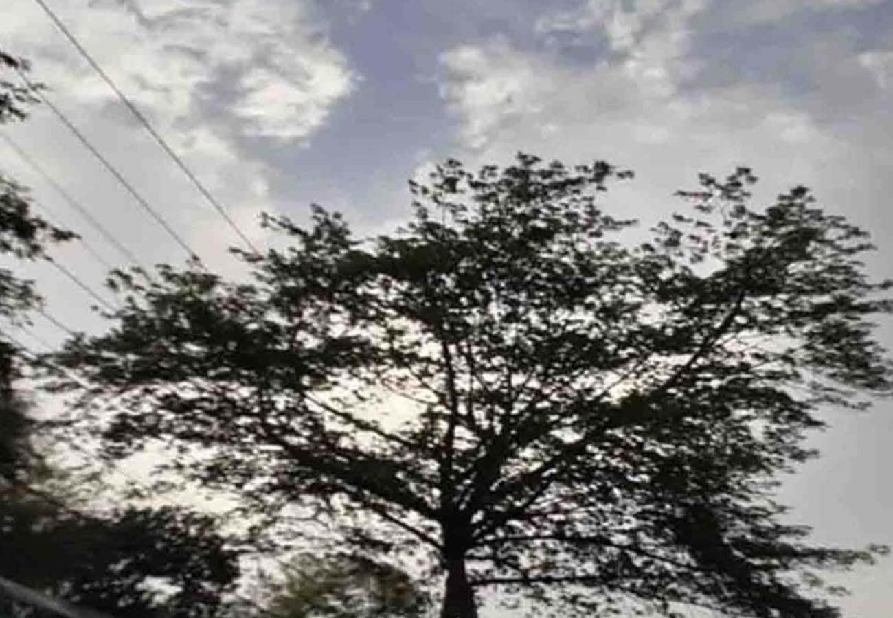 weather report, rain in these cities of UP, weather department prediction news