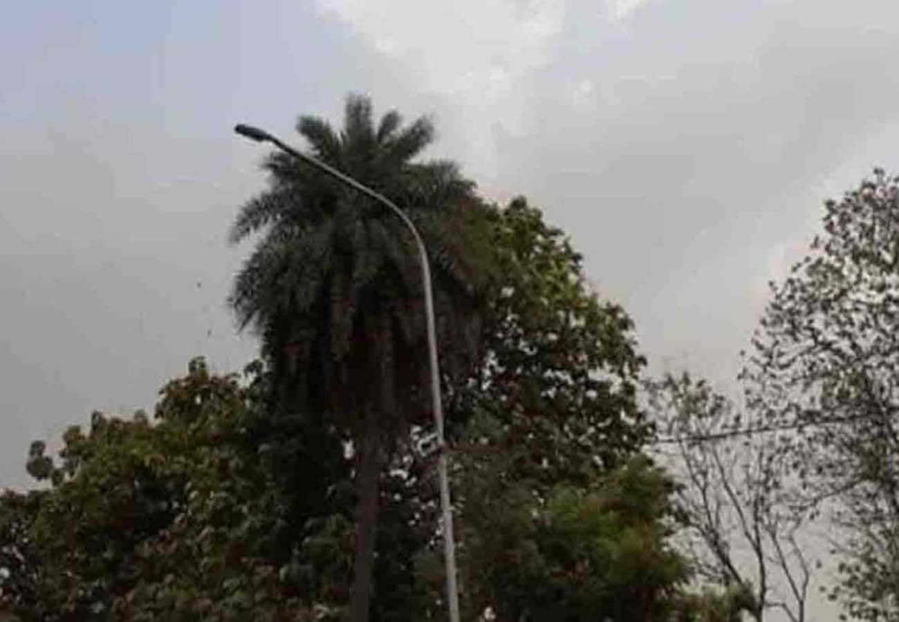 weather report, rain in these cities of UP, weather department prediction news