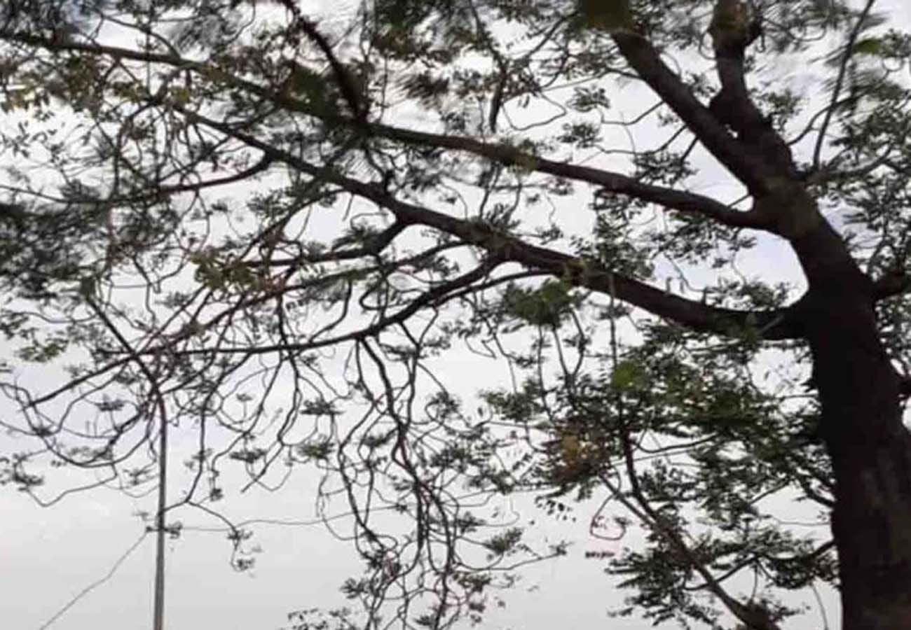 weather report today, rain in these cities of UP, weather department prediction