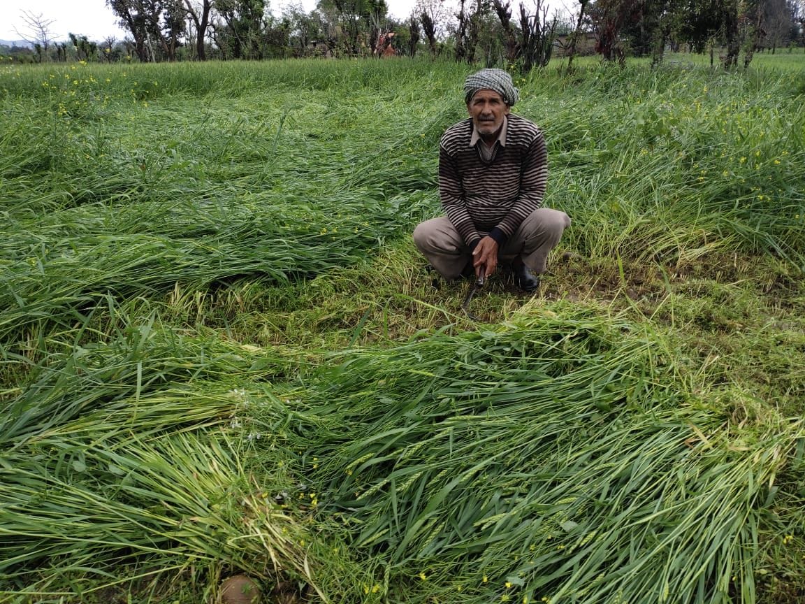 agriculture