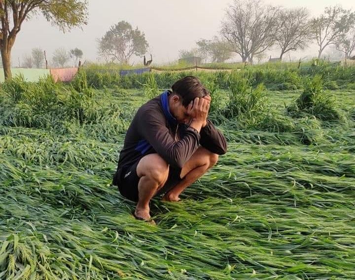 Concern among farmers due to weather, officers came out to survey