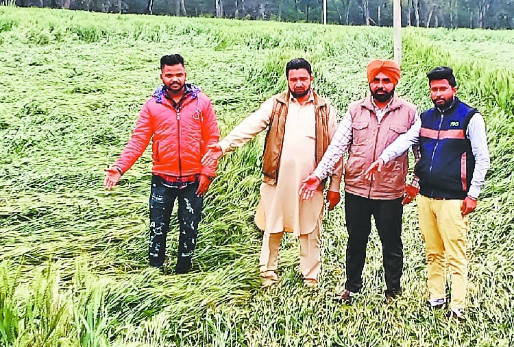 Rain with strong winds in many places of Punjab