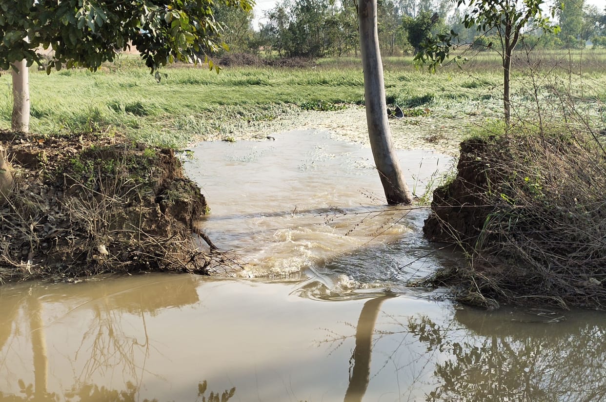 Rawatpur minor cut, 100 bigha wheat crop submerged