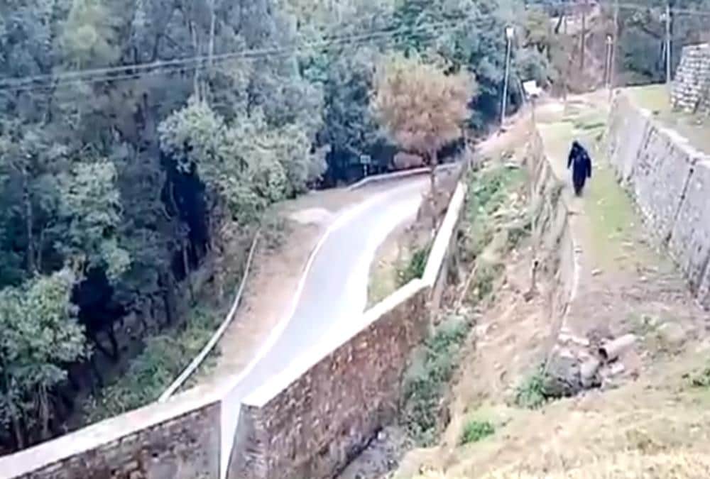 Itbp Soldiers wear bear dress And Roaming for Run away Monkeys in Pithoragarh