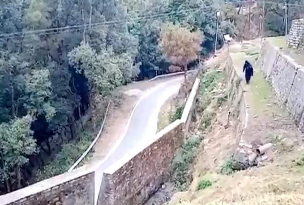 Itbp Soldiers wear bear dress And Roaming for Run away Monkeys in Pithoragarh