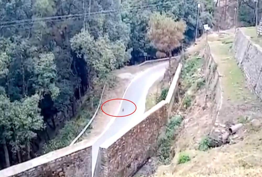 Itbp Soldiers wear bear dress And Roaming for Run away Monkeys in Pithoragarh