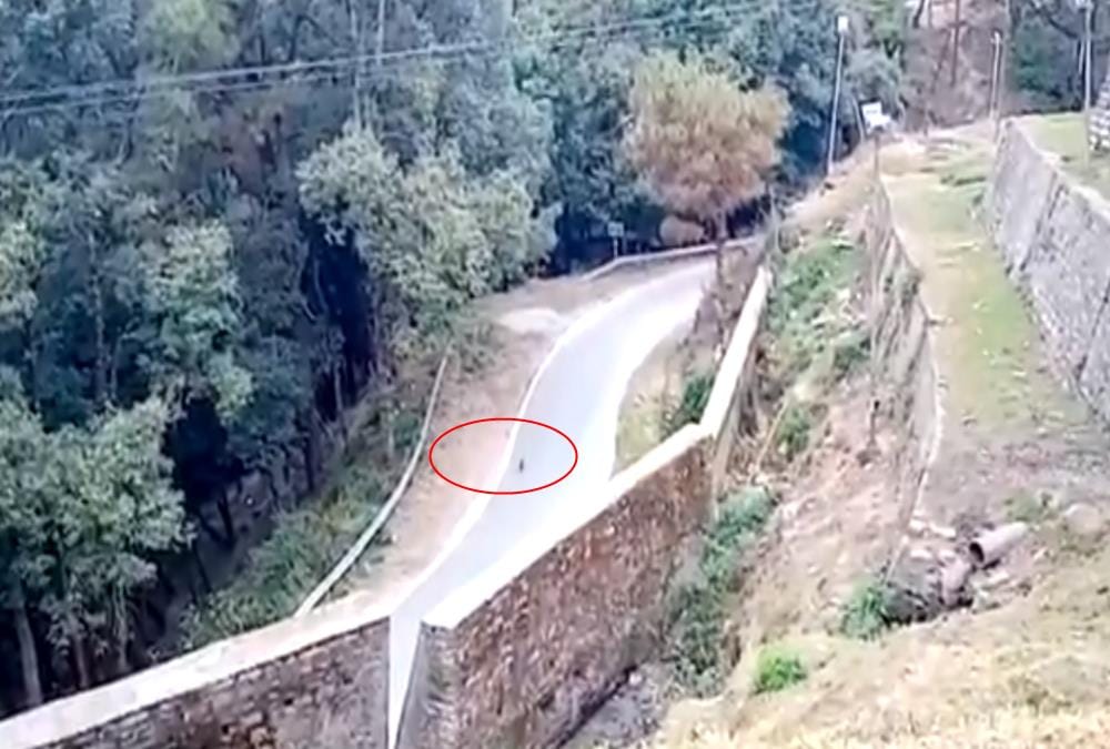Itbp Soldiers wear bear dress And Roaming for Run away Monkeys in Pithoragarh