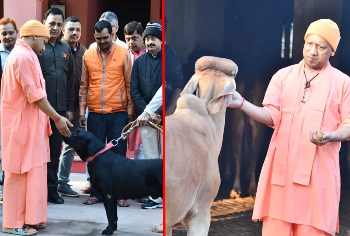 cm yogi adityanath animals love latest photo story in Gorakhpur