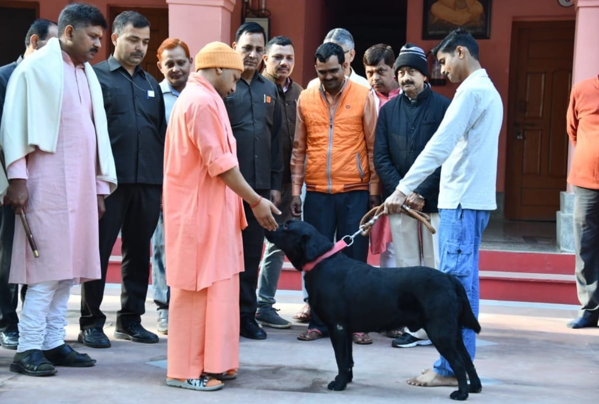 special story of cm yogi adityanath pet dog gullu in gorakhnath temple pictures viral in gorakhpur uttar pradesh