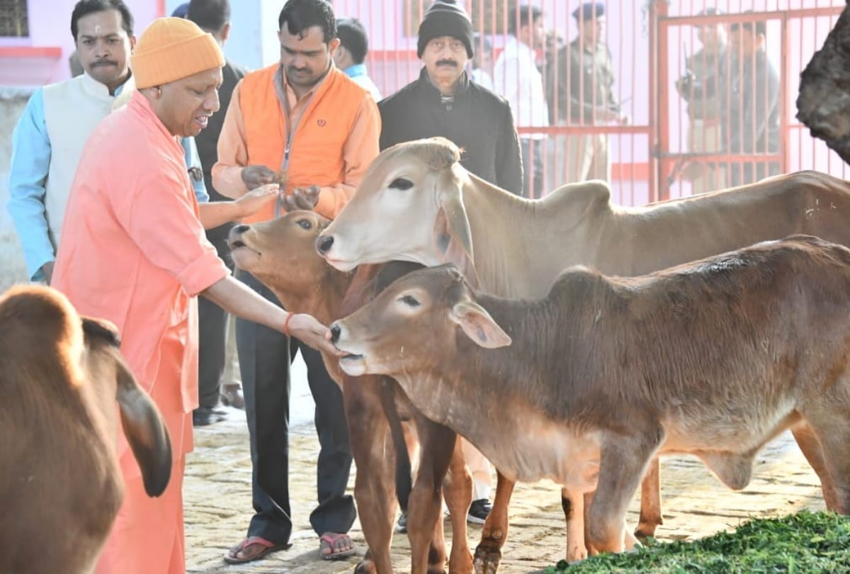 cm yogi adityanath animals love latest photo story in Gorakhpur