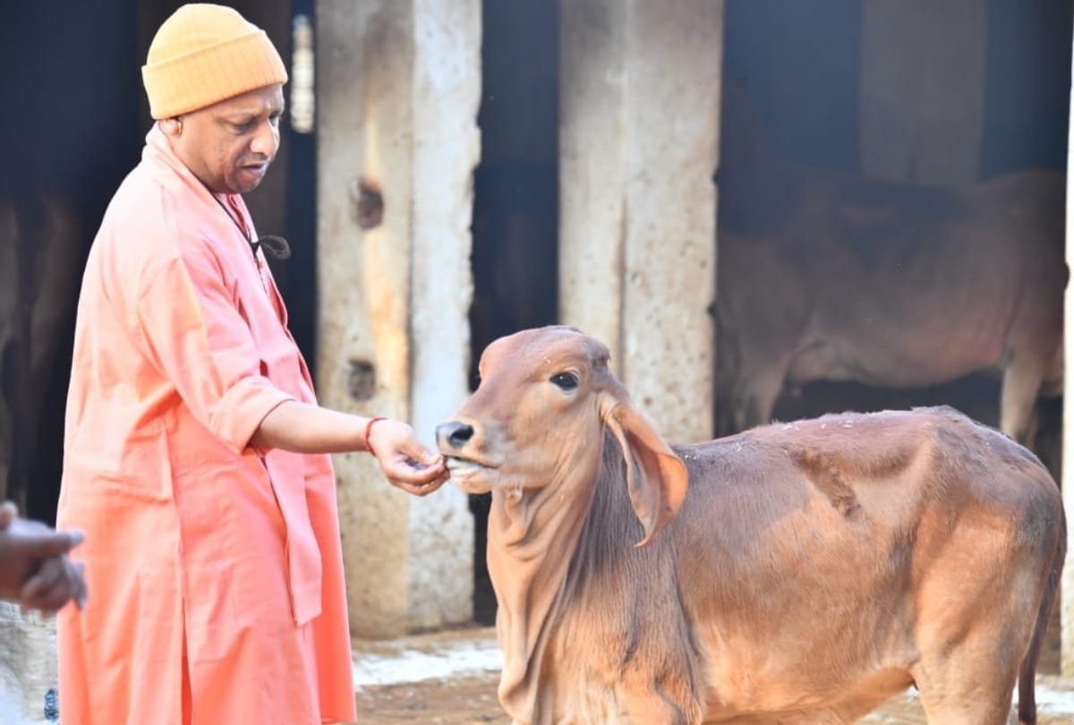 cm yogi adityanath animals love latest photo story in Gorakhpur