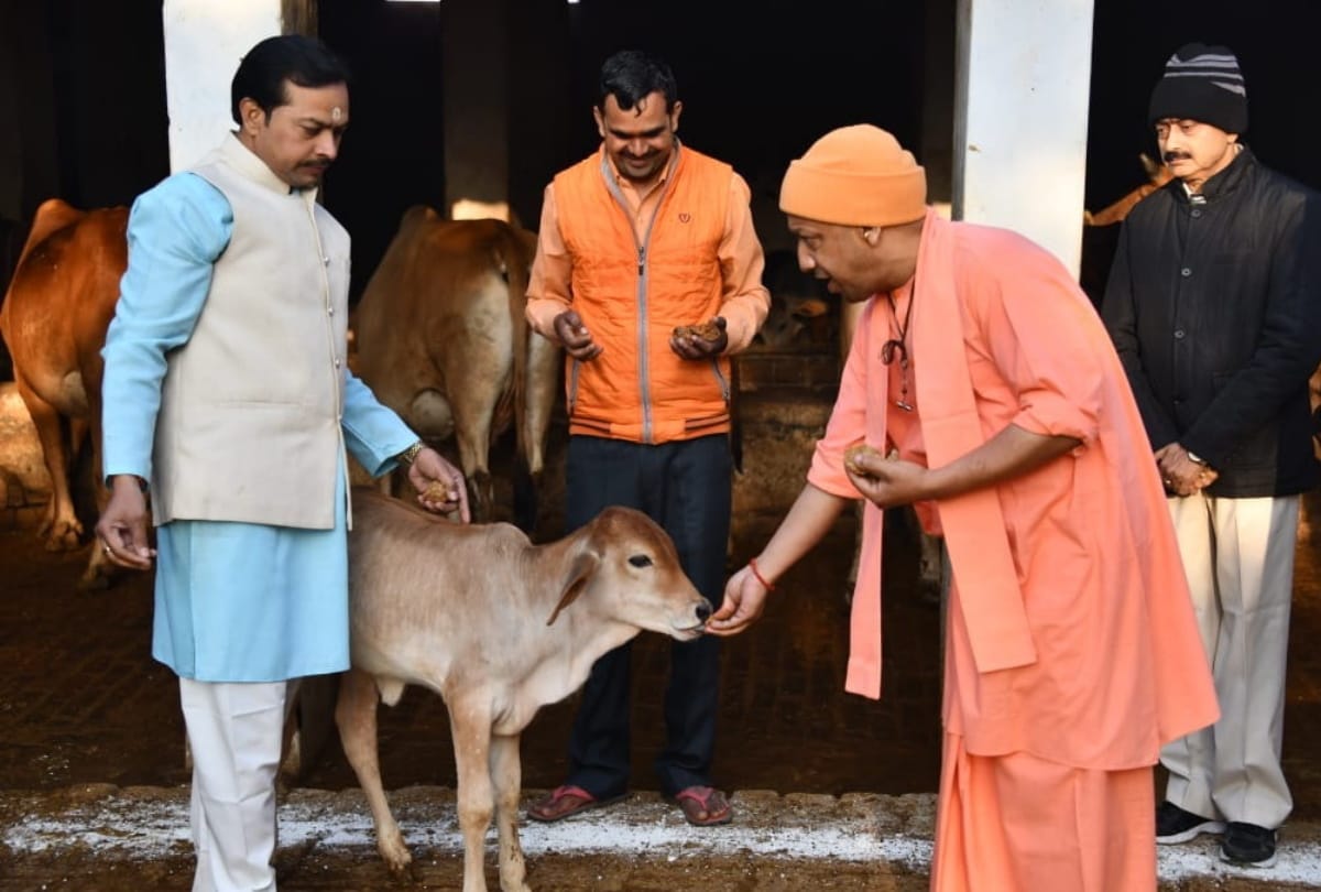 cm yogi adityanath animals love latest photo story in Gorakhpur