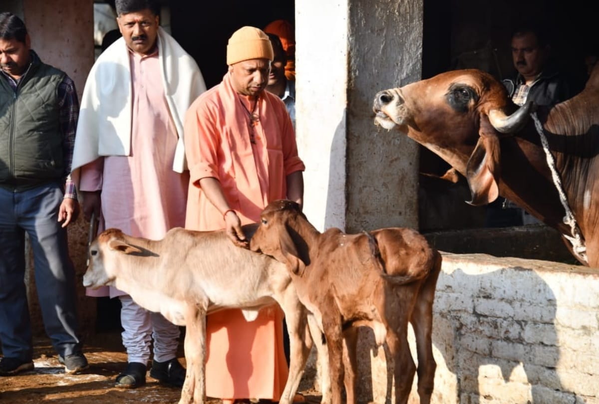 cm yogi adityanath animals love latest photo story in Gorakhpur