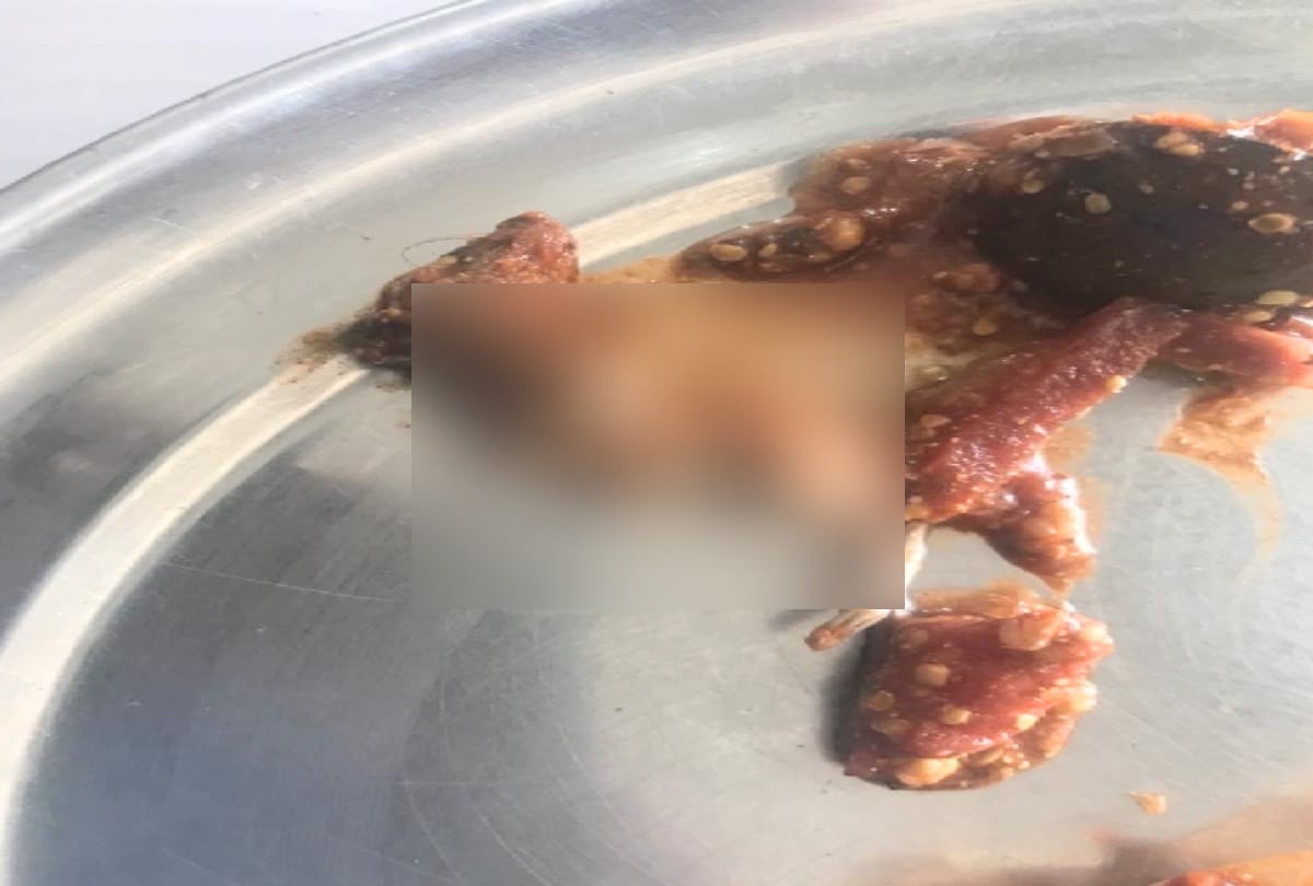 dead rat sent with food ordered online at dharamshala himachal