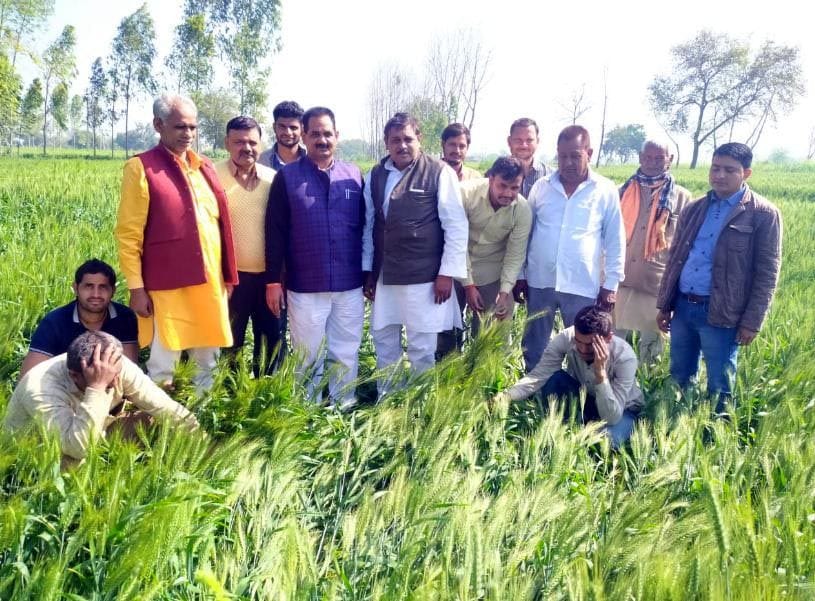 Hathras: Farmers suffering from rain and hail arrived agricultural office