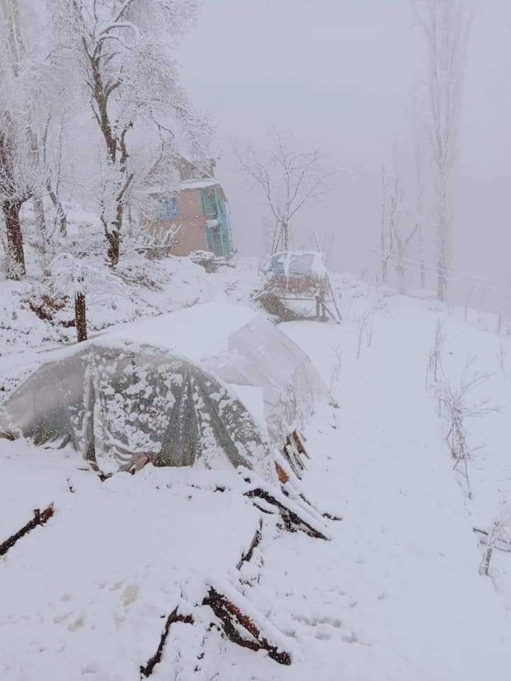 snow fall