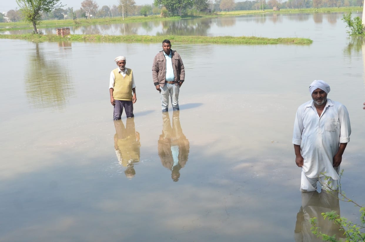 water, overflow, crops
