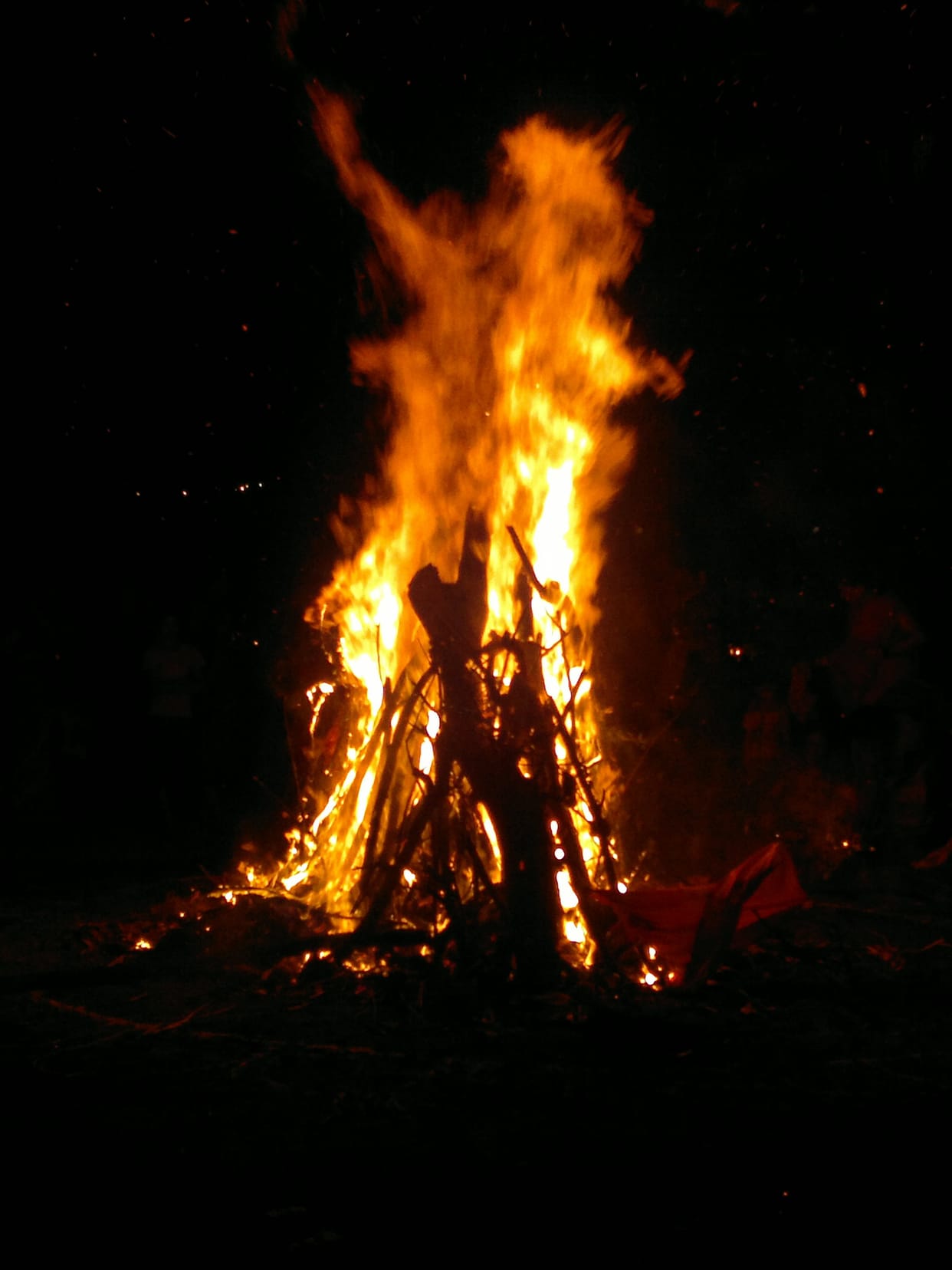 Holika caught fire, people holi color