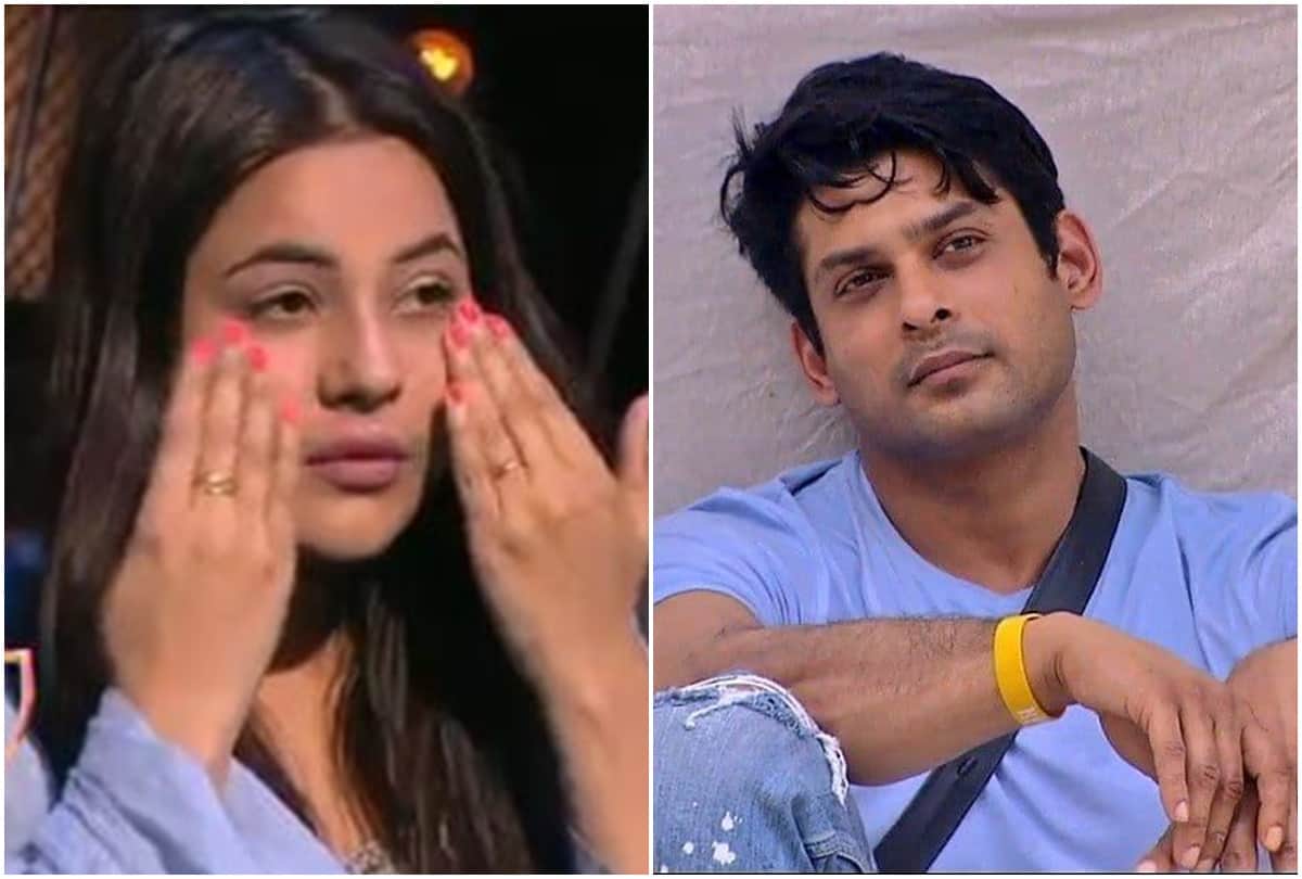 Bigg Boss 13 Contestant Shehnaz Kaur Gill Accepts Love For Siddharth Shukla Video Goes Viral