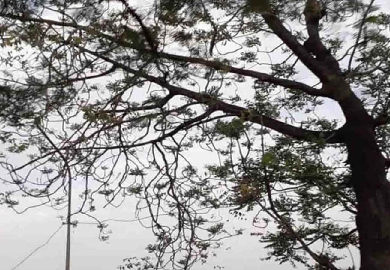 weather report today, rain in these cities of UP, weather department prediction news