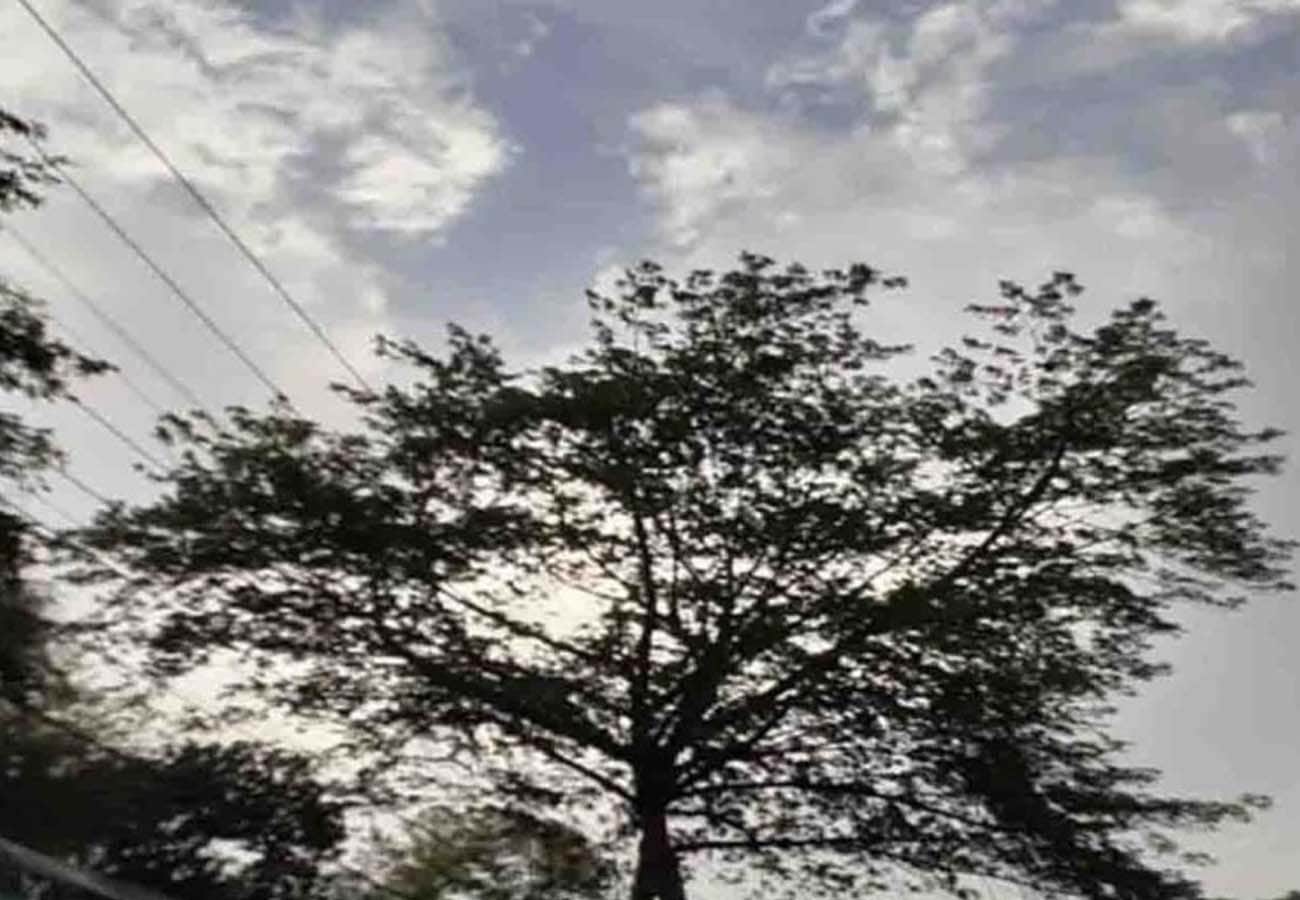 weather report today, rain in these cities of UP, weather department prediction news