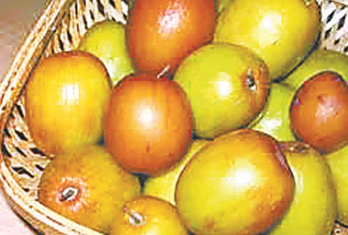 jujube is beneficial for skin