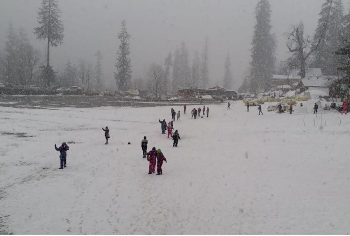 Fresh  snowfall in Solang Nalla in Kullu in himachal pradesh