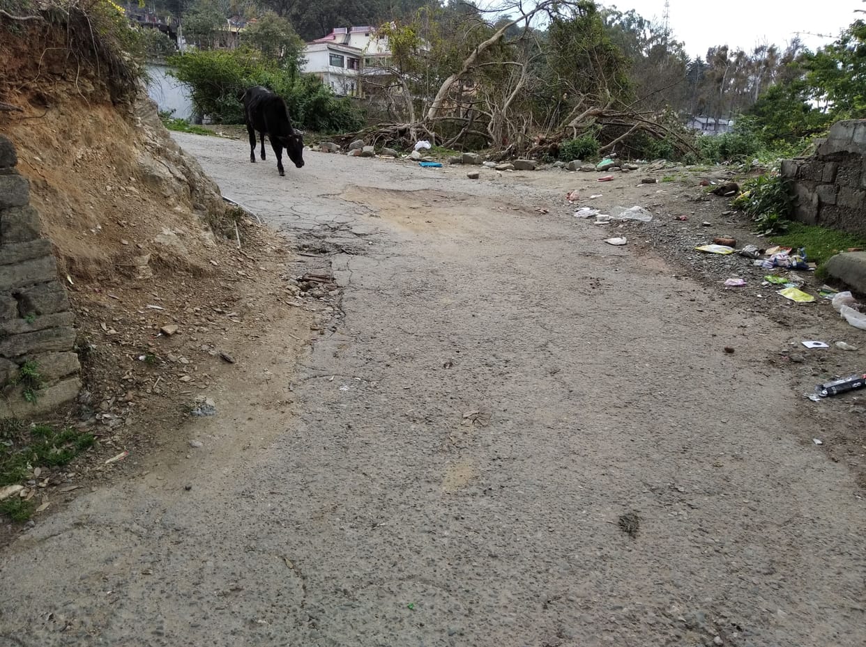 Tourism season is coming, internal roads not improved