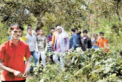 Violent animal attacked on calf in khargapur area