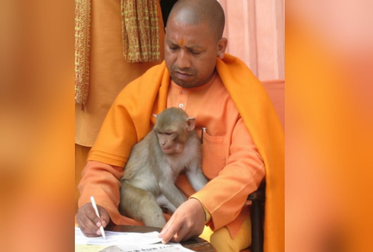 CM Yogi Adityanath Birthday Special Story Know About Interesting stories