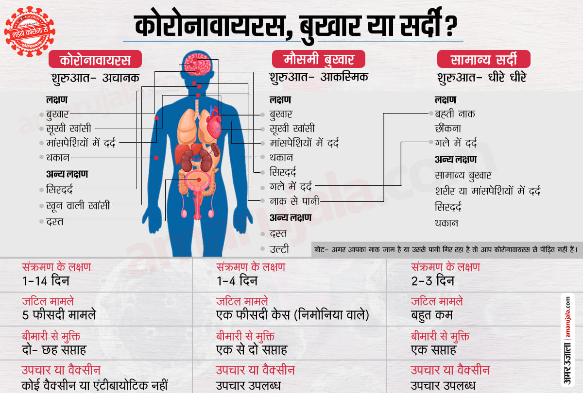 how corona virus destroys the body