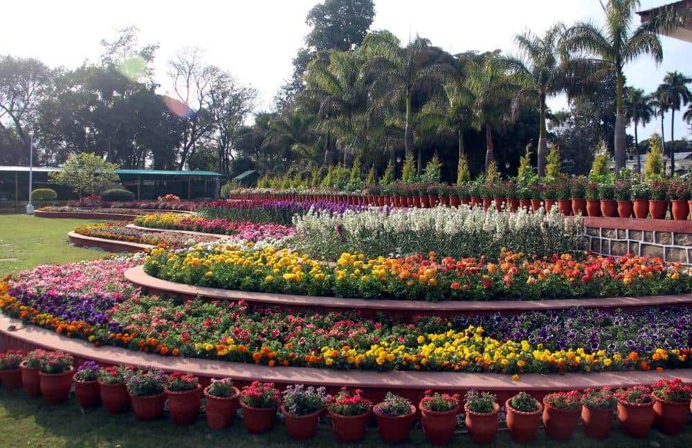 dehradun raj bhawan flowers beautiful pictures