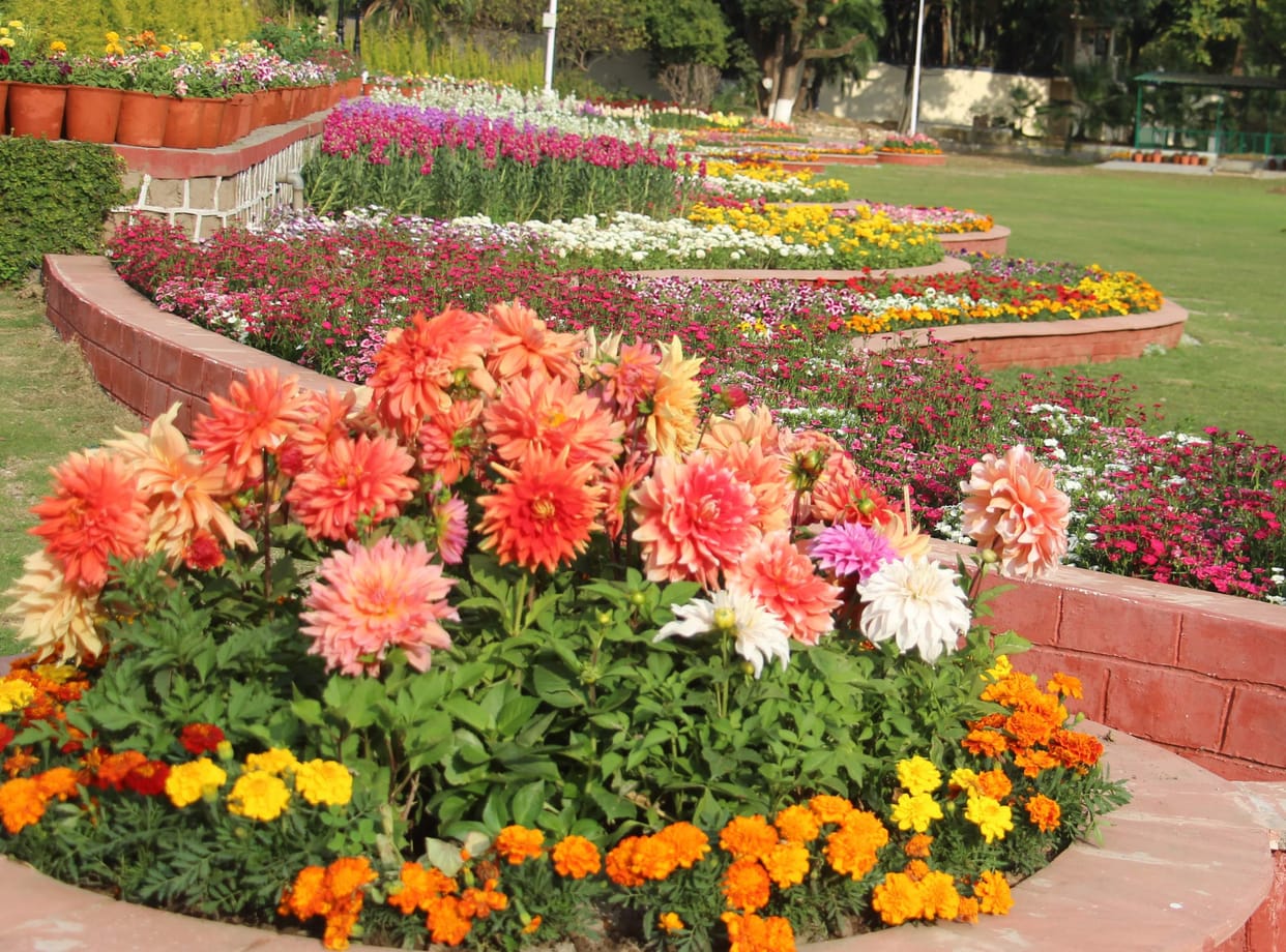 Delhi will be decorated with flowers before G20 summit