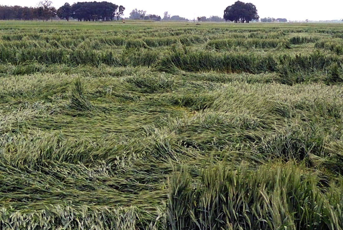 Rain caused water to farmers' expectations