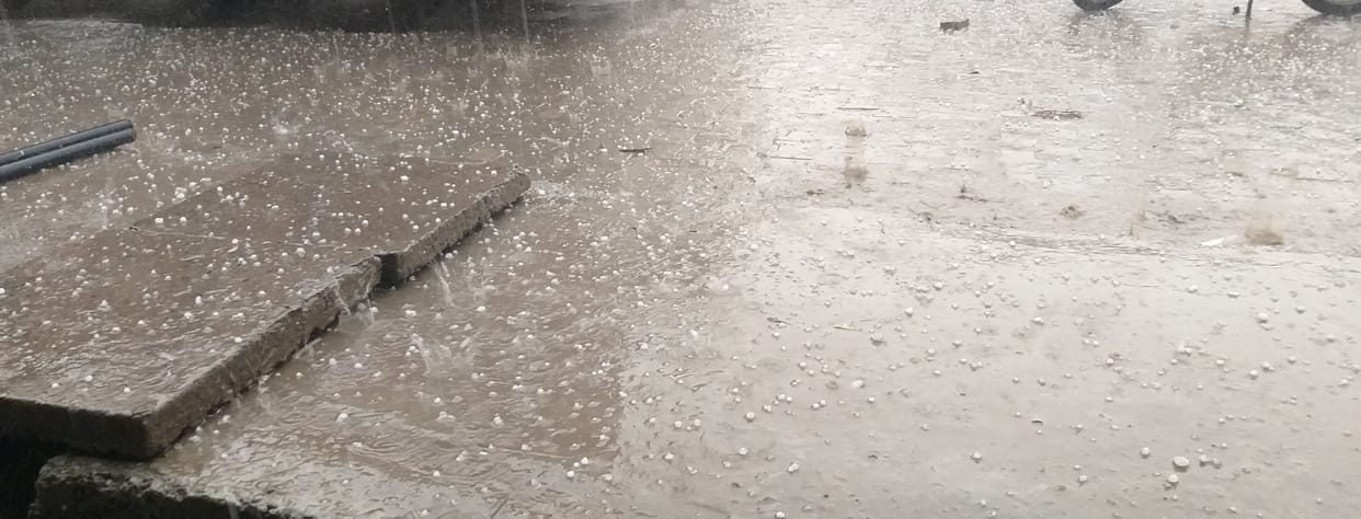 crop loss due to hail