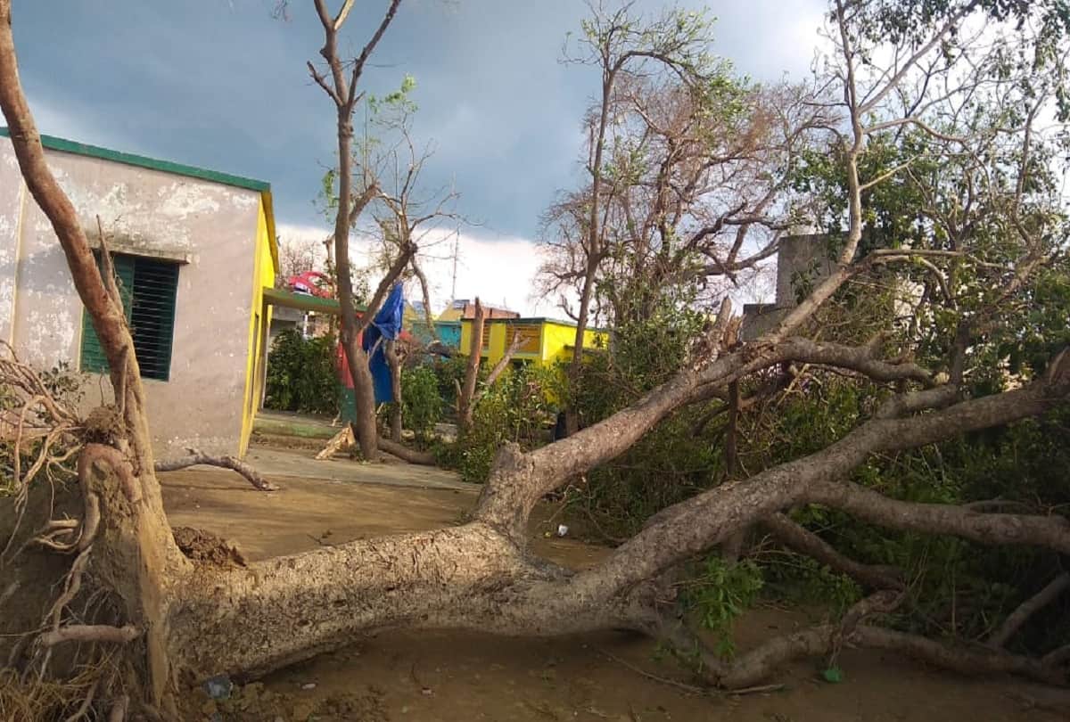 Trees uprooted, crops are frozen, rain and hail caused heavy destruction in Prayagraj
