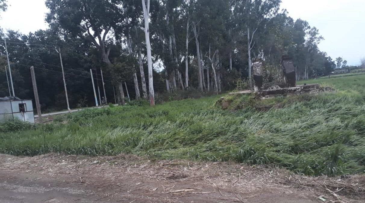 Heavy rain caused hailstorm, damage to crops