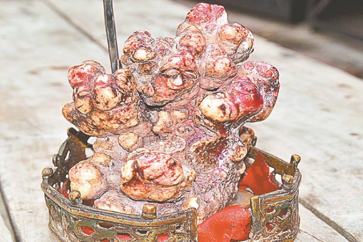 Mahabharata Circuit, There is a rare Shivling with ancient temple in Garhmukteshwar