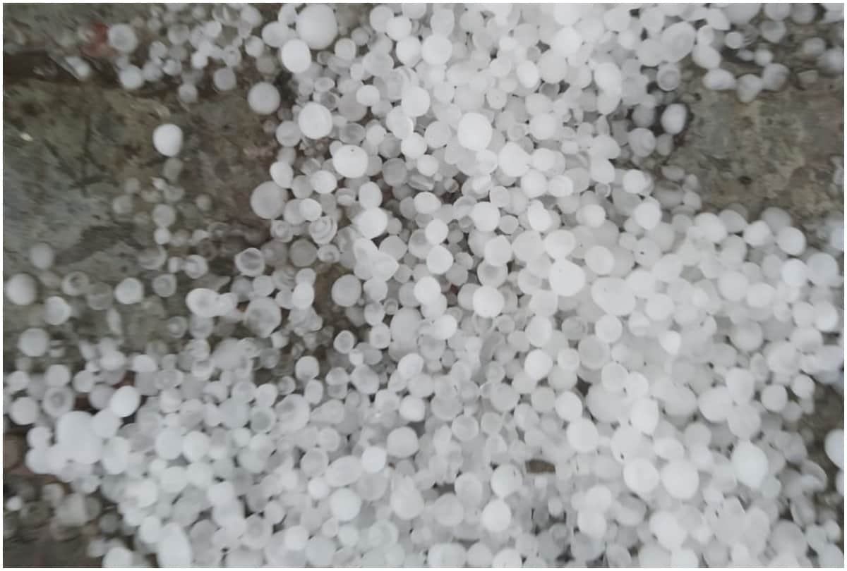 Trees uprooted, crops are frozen, rain and hail caused heavy destruction in Prayagraj