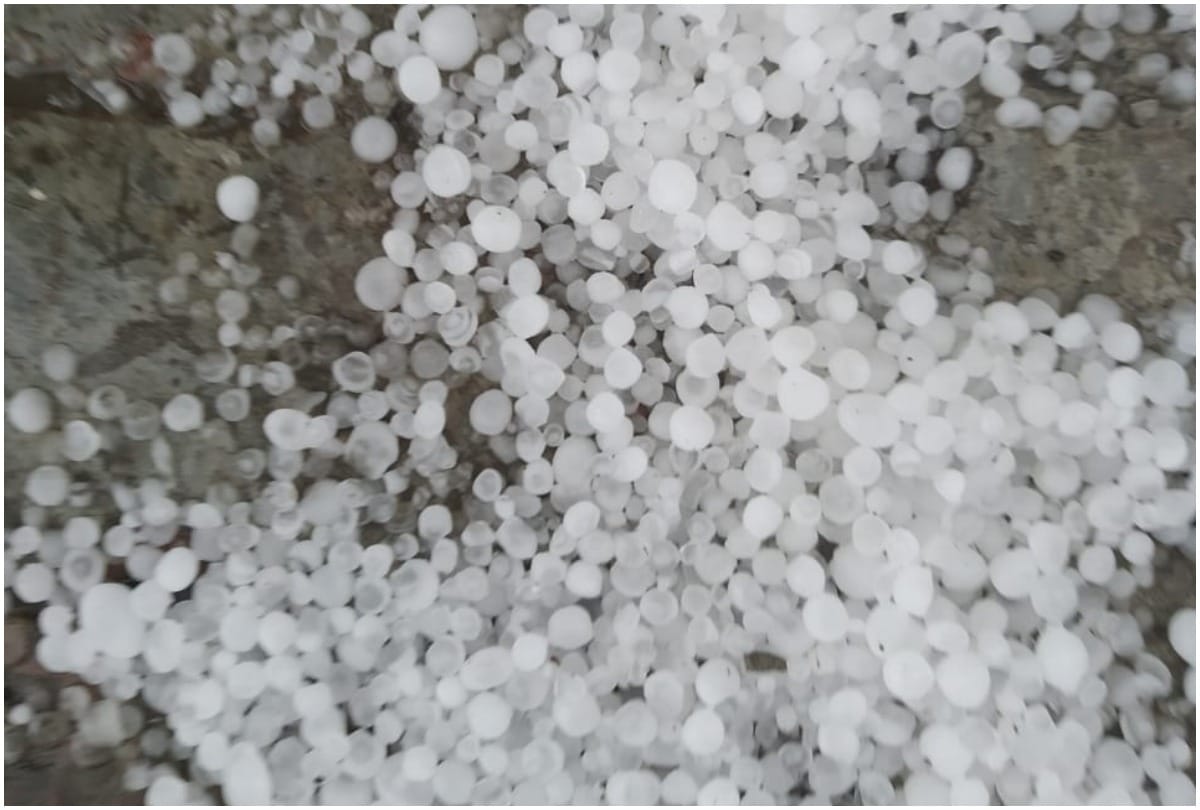 Trees uprooted, crops are frozen, rain and hail caused heavy destruction in Prayagraj