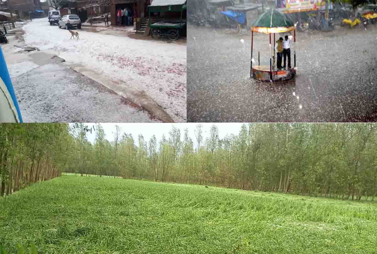 farmer's wife hanged herself after Crops wasted due to hailstorm