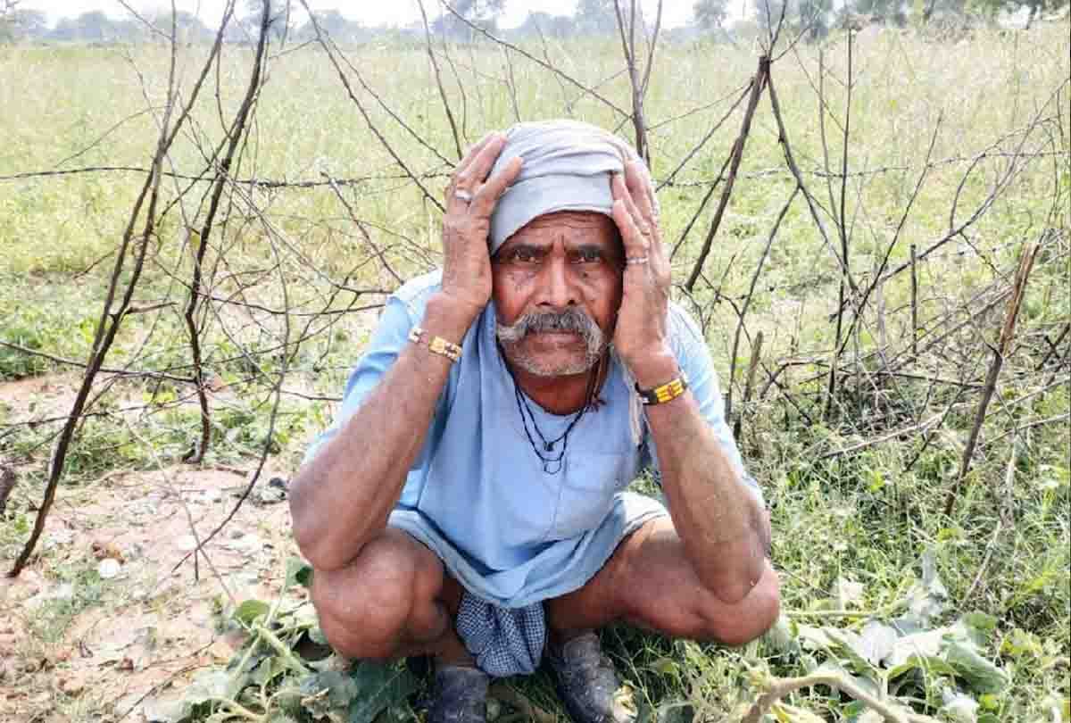 today weather report, rain in these cities of UP, weather department prediction
