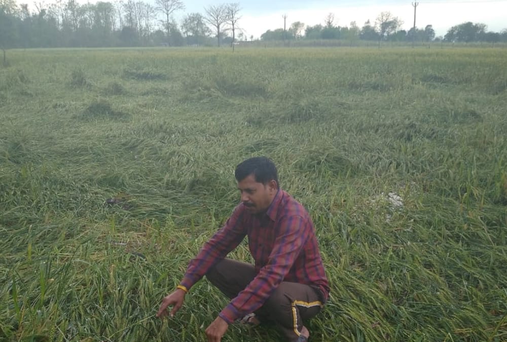 Lockdown created trouble for farmers troubled by weather