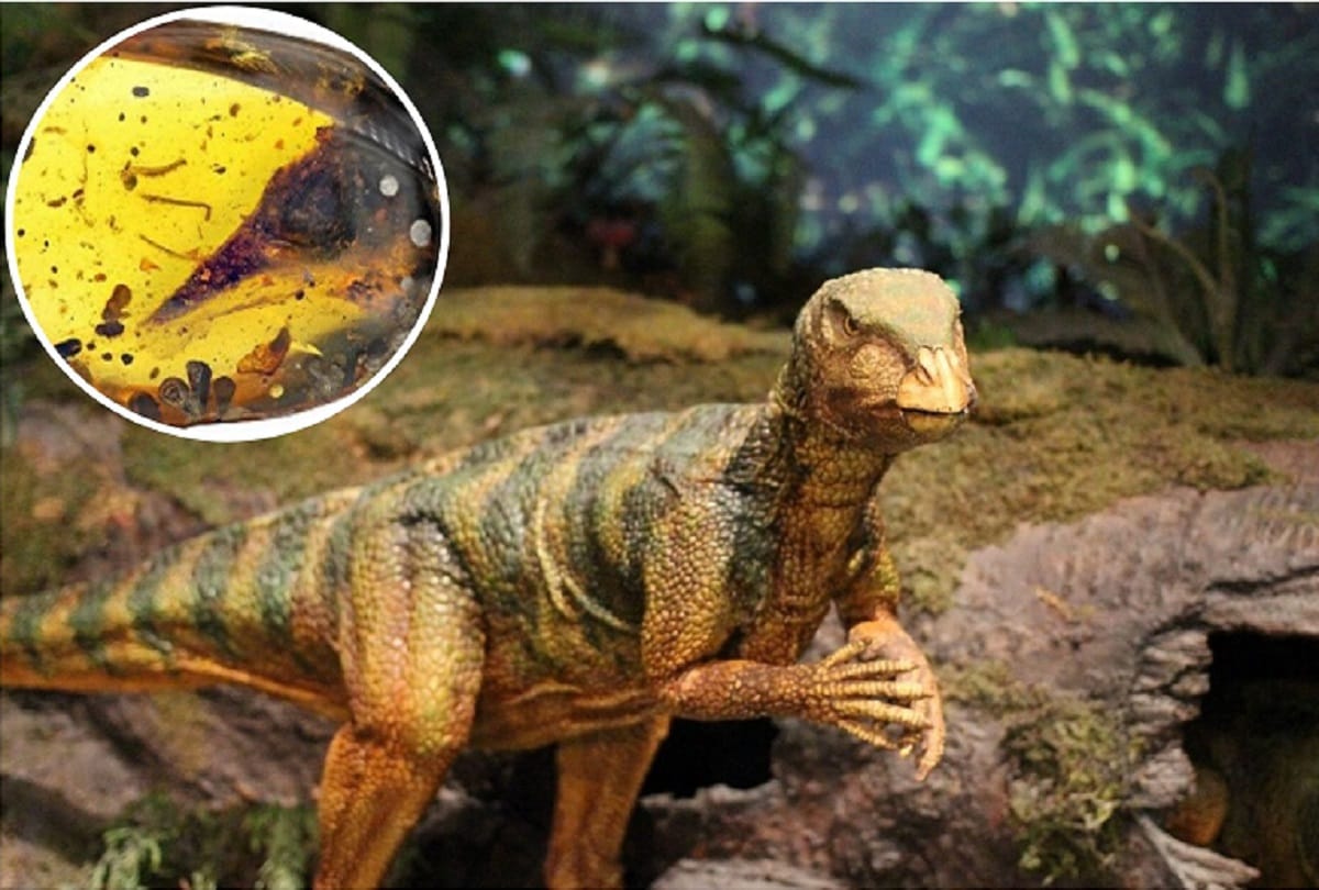 scientist discovers footprints of dinosaur over 200 million years old on welsh beach