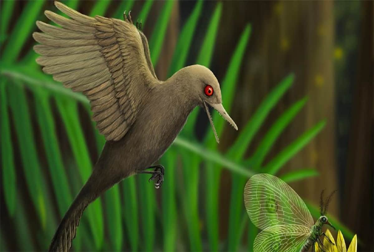 know how life bounced back after the great dying mass extinction event