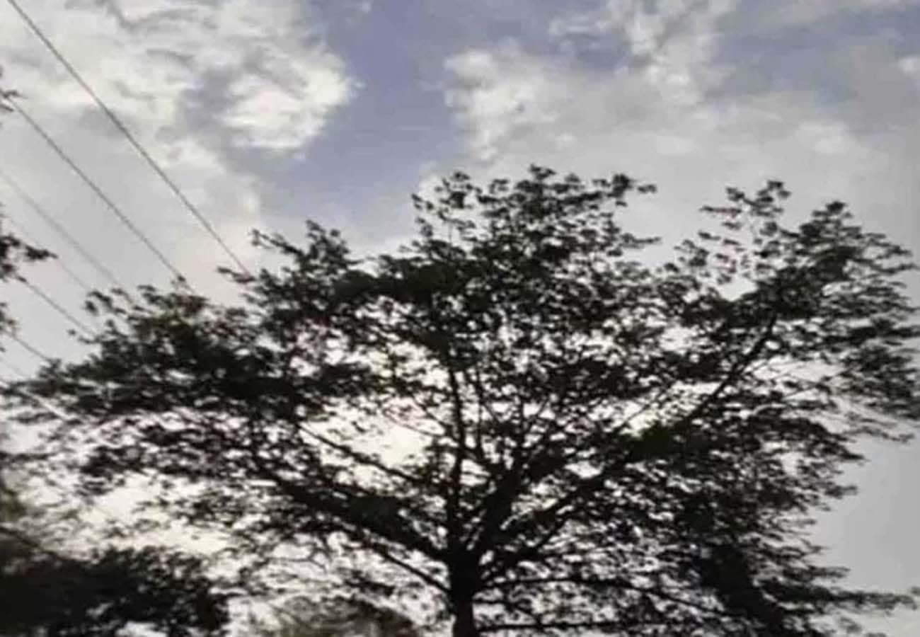 weather report, rain in these cities of UP, weather department prediction, climate change