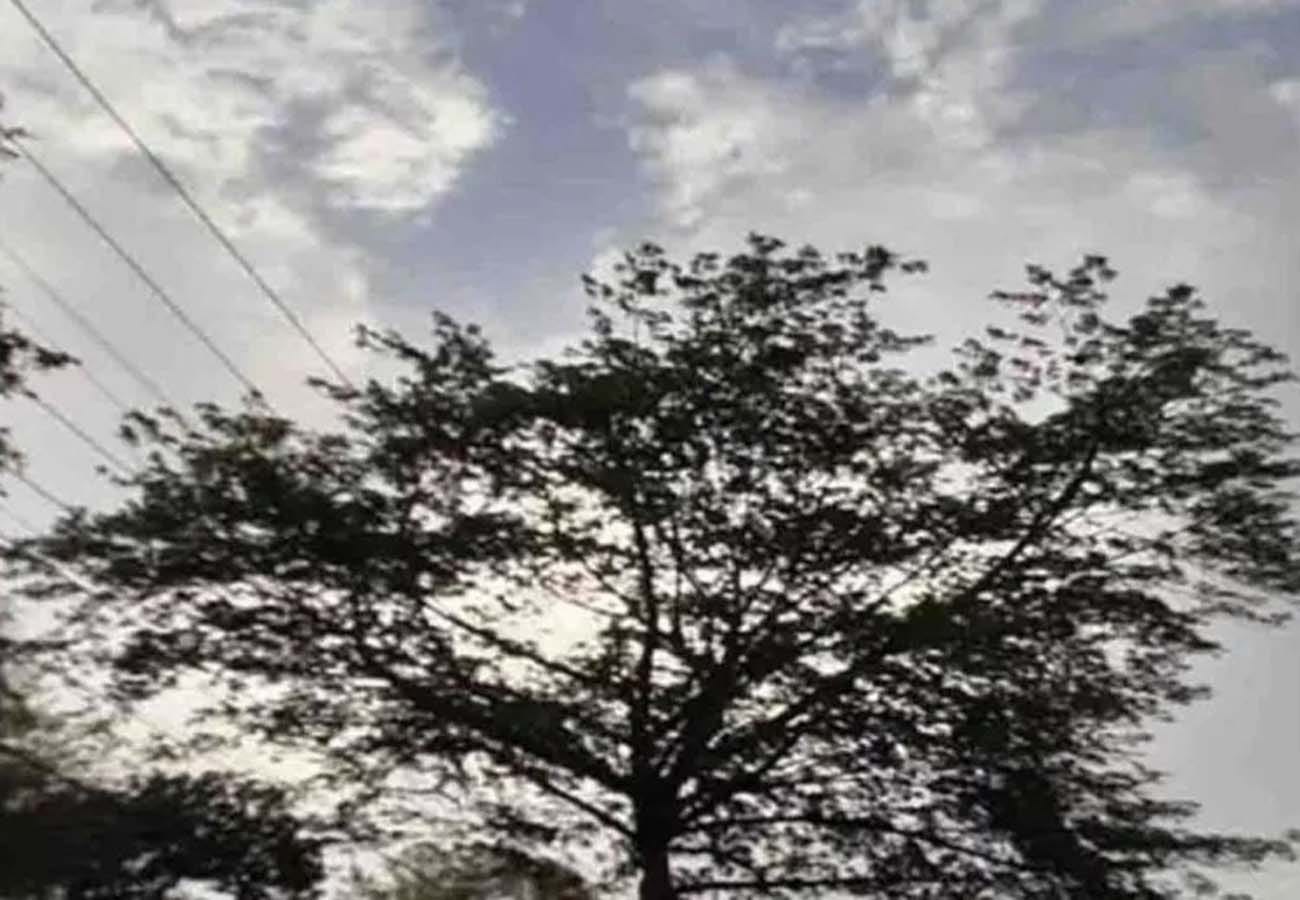 weather report, rain in these cities of UP, weather department prediction, climate change