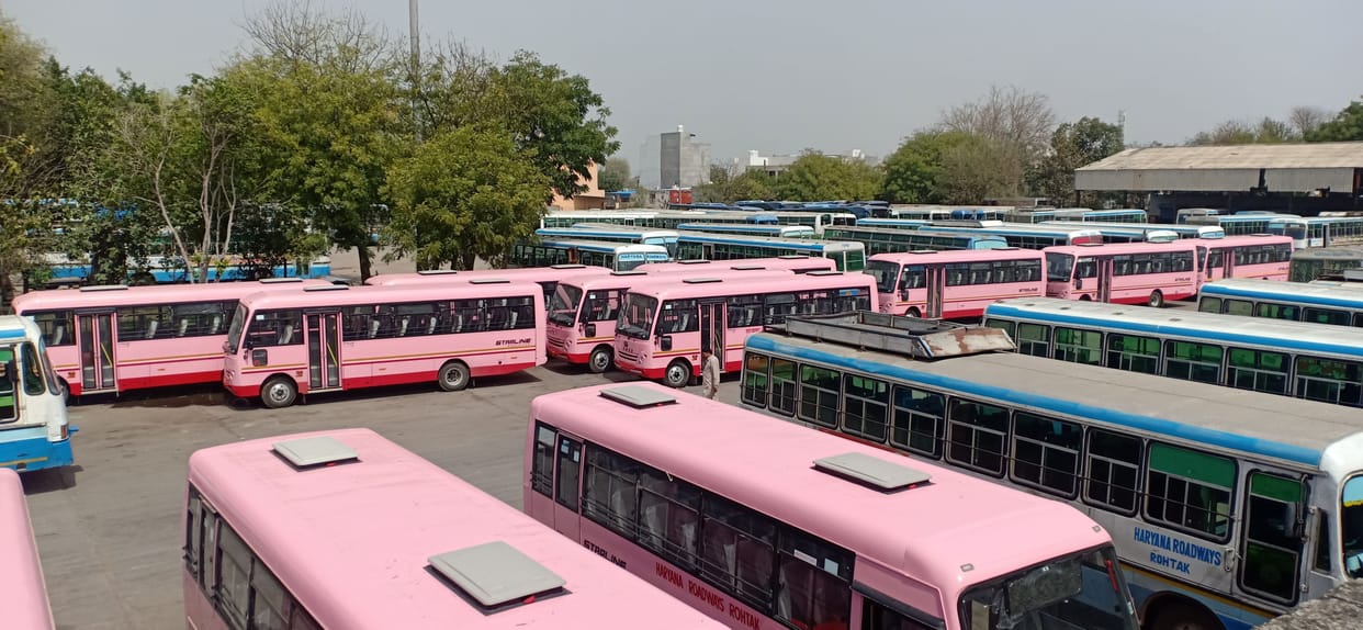 pink bus come for girls and women