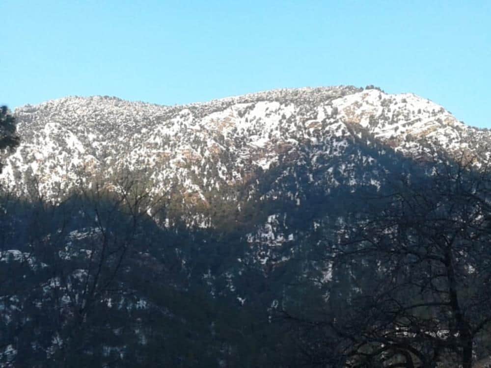 snowfall continues in uttarakhand Badrinath Dham covered with snow