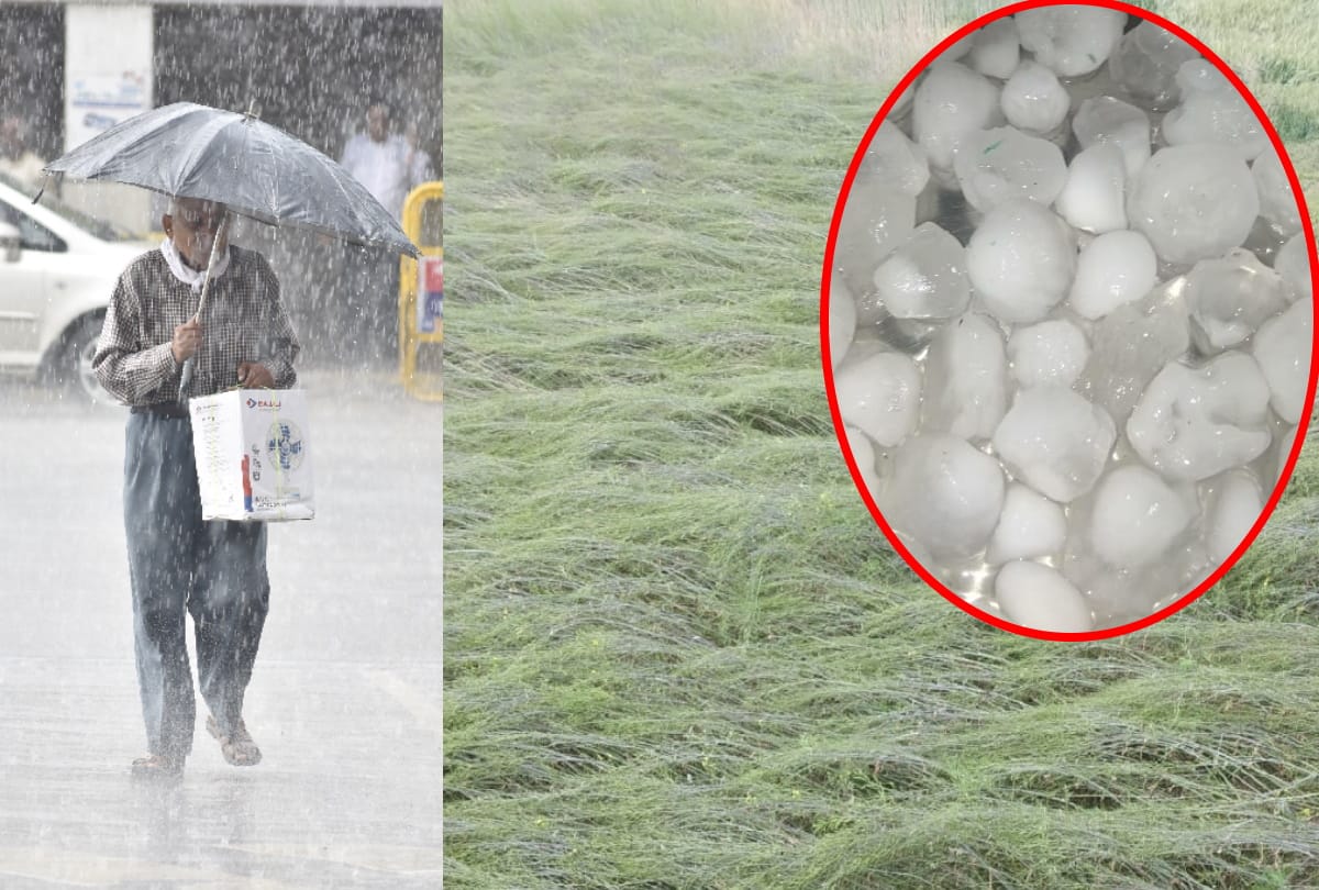farmers crop damage After Hail and rain in Gorakhpur
